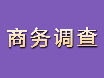 高港商务调查